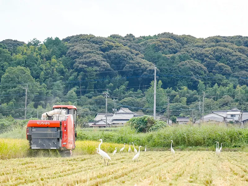 自然に囲まれた環境